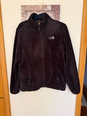 The North Face Black Plush Fleece Full-Zip Jacket